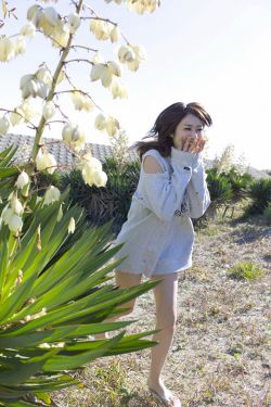 麻烦请你先告白