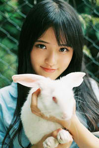 人鬼情未了在线观看